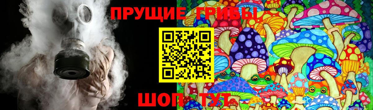 Павловский Посад  Псилоцибиновые грибы MAGIC MUSHROOMS  Вход с VPN 