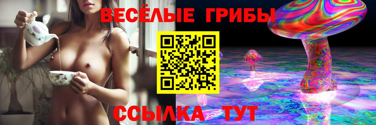Галлюциногенные грибы мухоморы Павловский Посад